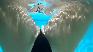 Submersed Bikini